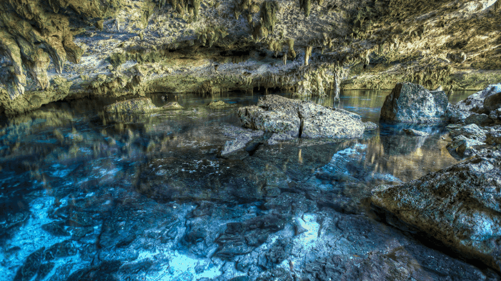 Le cenote Dos Ojos - Flickr : Carlos Ortega