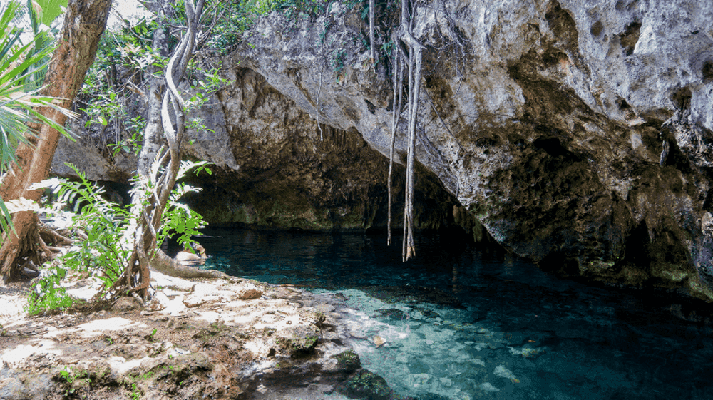 Le Gran Cenote - Wikimedia Commons