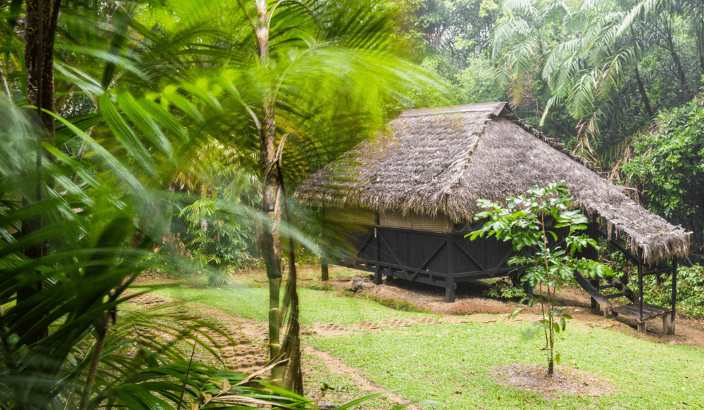 eco lodge