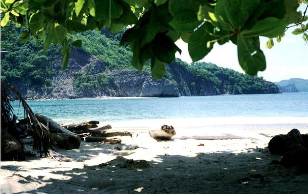 Une belle plage de l'Isla Tortuga au Costa Rica