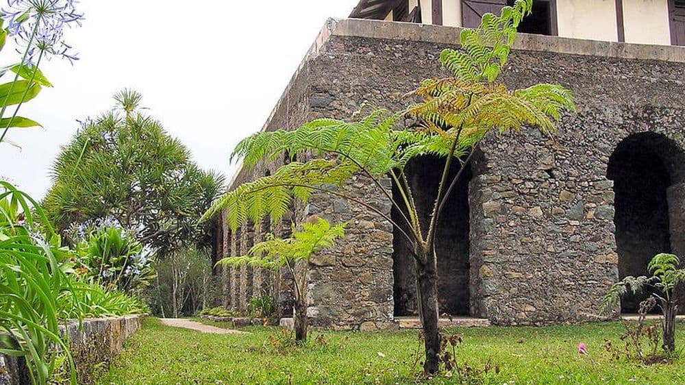 plantation café la isabelica