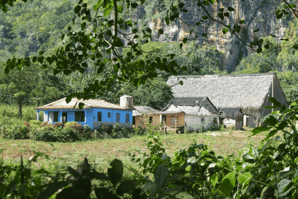 Casa particular Viñales