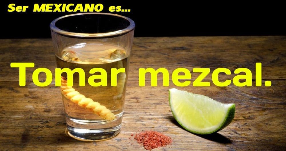 différence entre mezcal et tequila ©Mathilde Arnod