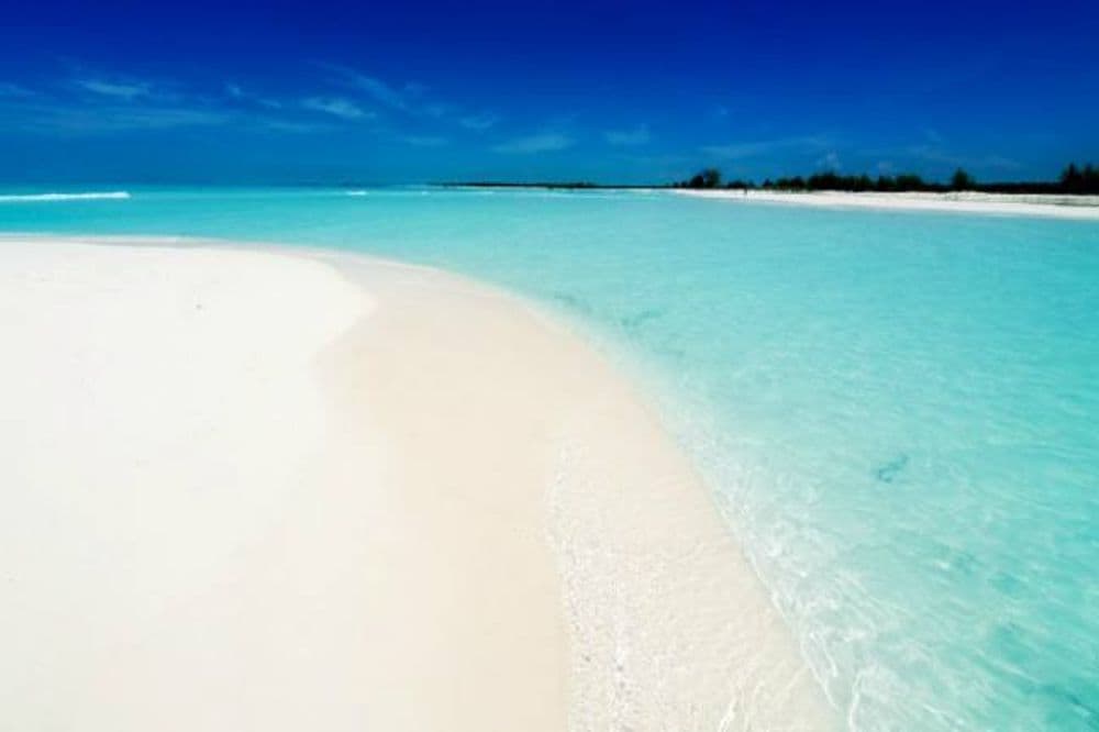 Une plage paradisiaque sur les côtes cubaines