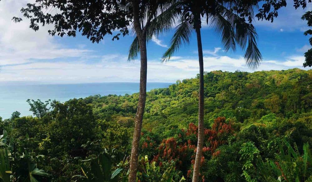 crabe-fantomes-astuces-costa-rica