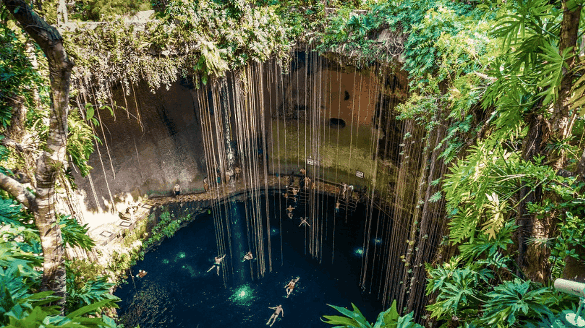 Les meilleurs cenotes du Mexique