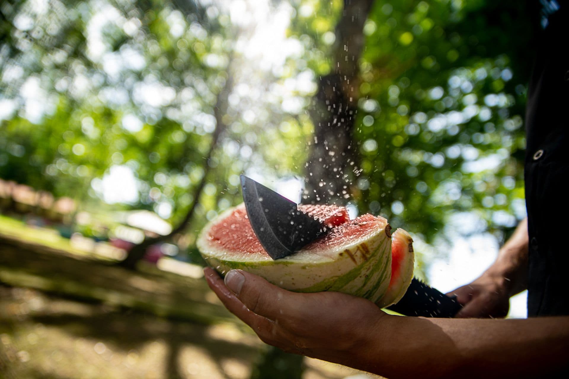 Les spécialités culinaires du Costa Rica