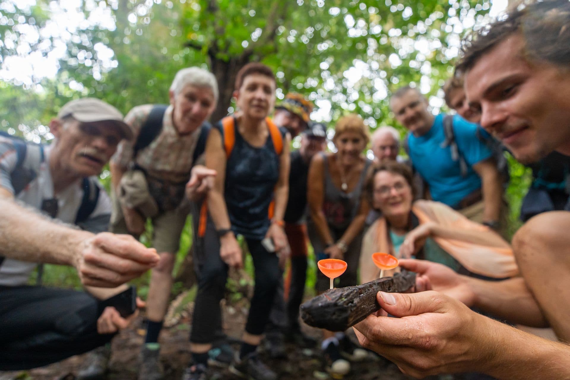 Au « Jardin d'Eden », suivez la guide