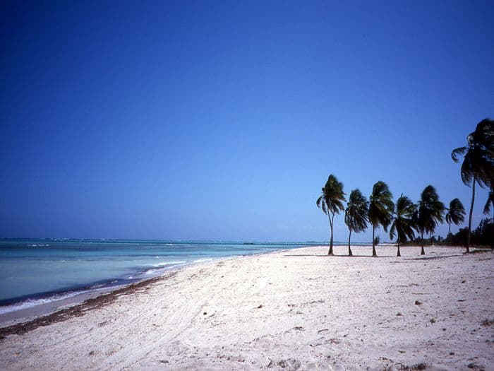 Guardalavaca