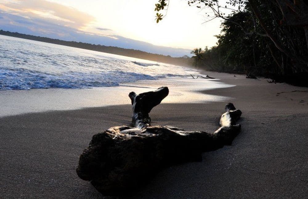 Cahuita, plus belles plages du Costa Rica