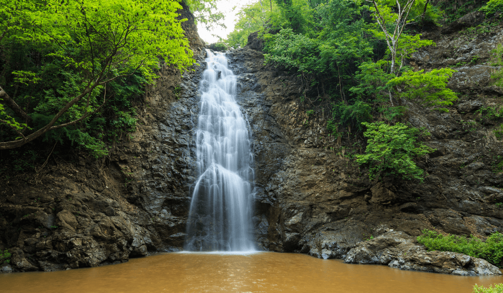 PUR_BLOG_10.25_CANVA_Montezuma Waterfall Costa Rica