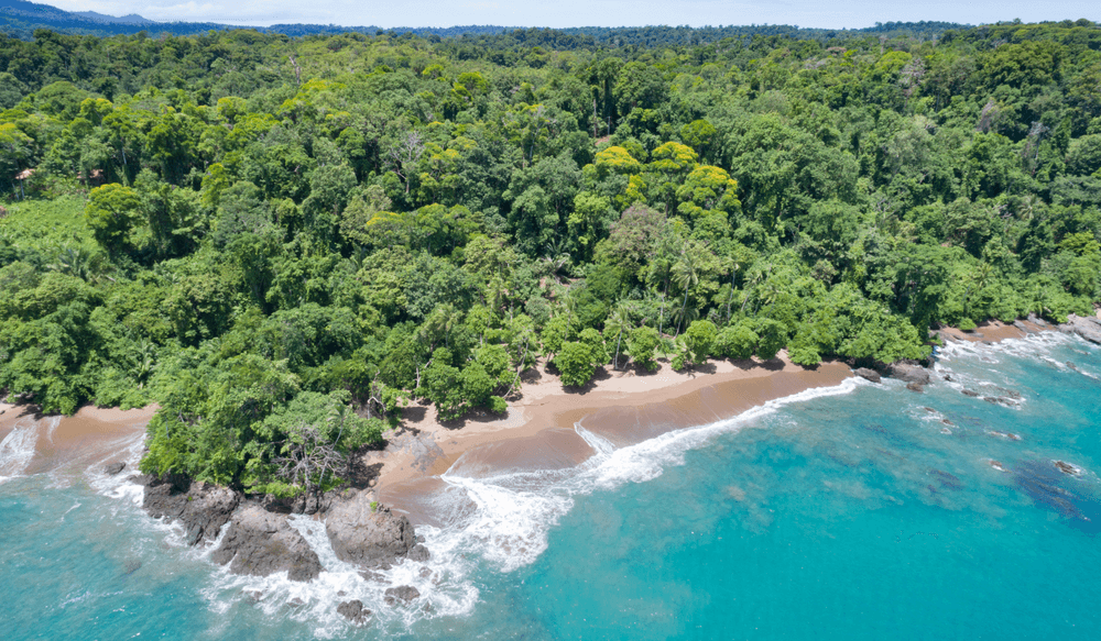 PUR_BLOG_10.25_CANVA_Corcovado National Park Costa Rica
