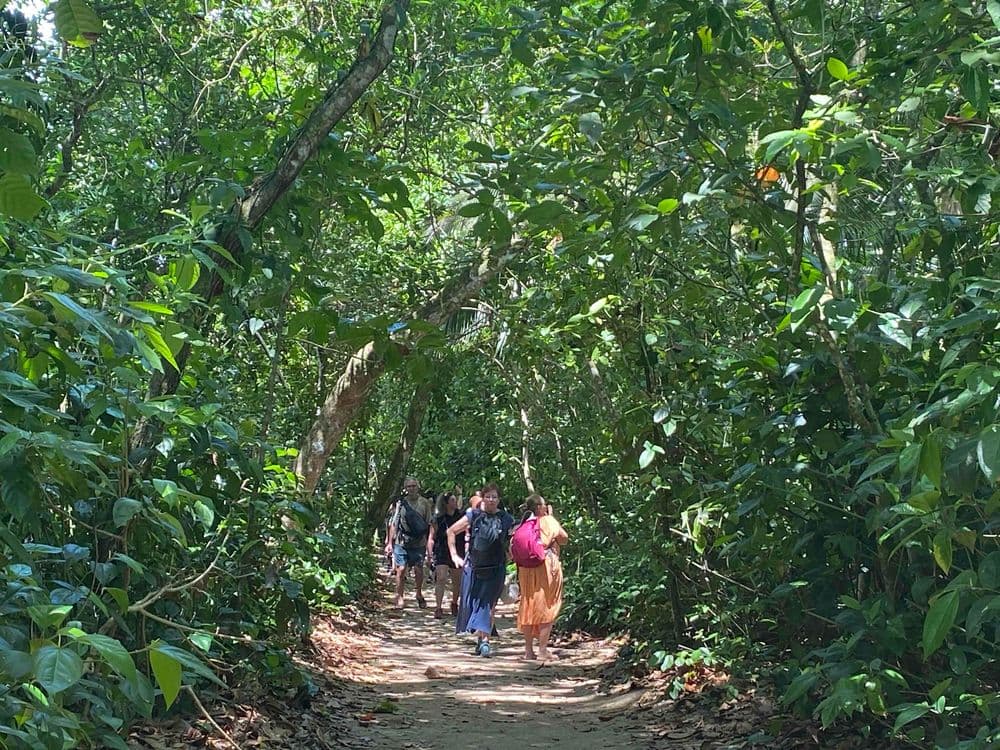 Parc Cahuita