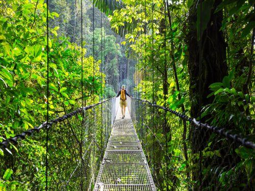 Costa Rica bridge