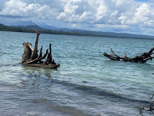 Cahuita National Parl
