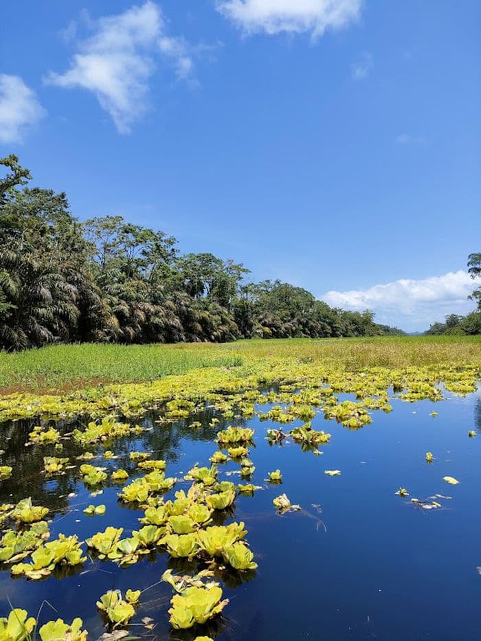 Tortuguero