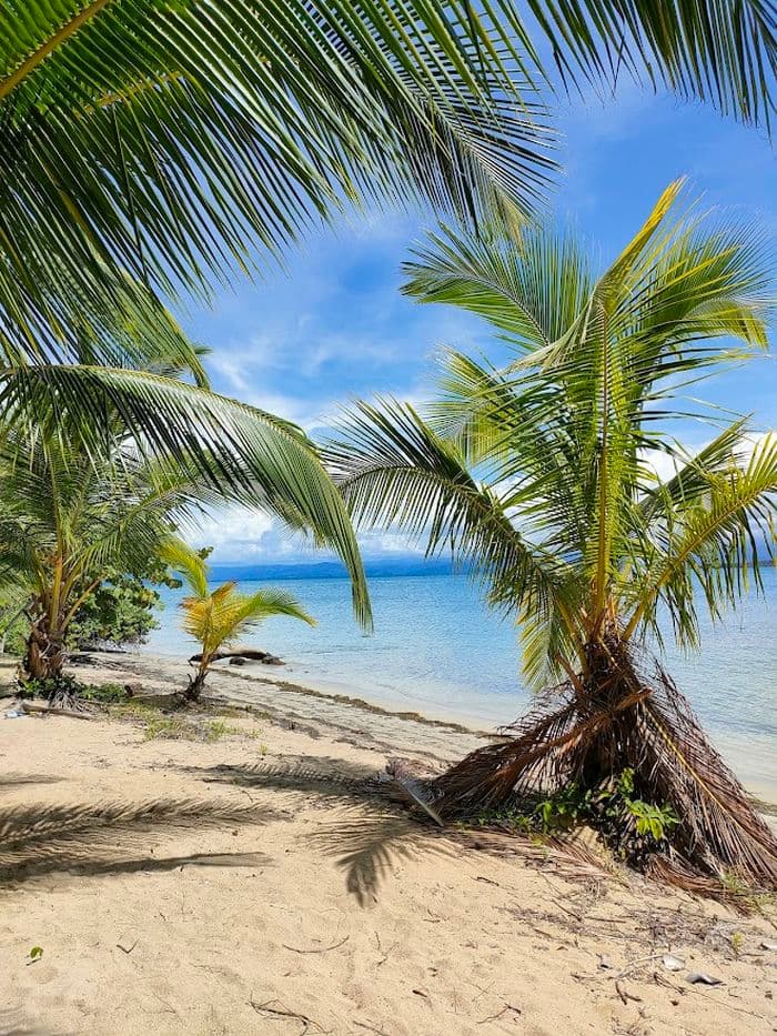 Bocas del Toro