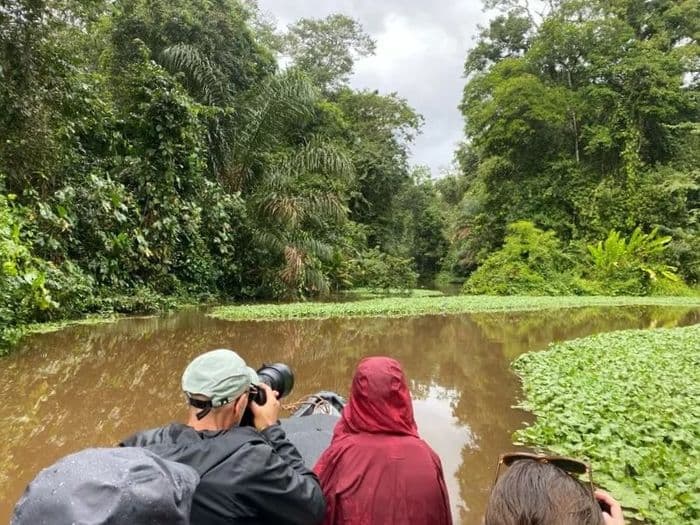 tortuguero