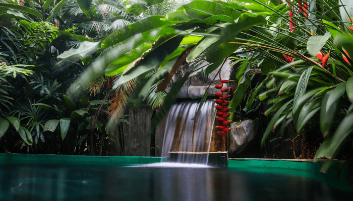 Paradise hotspring