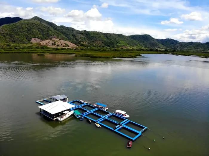 Floating restaurant