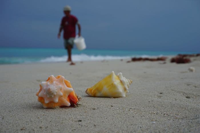 Varadero