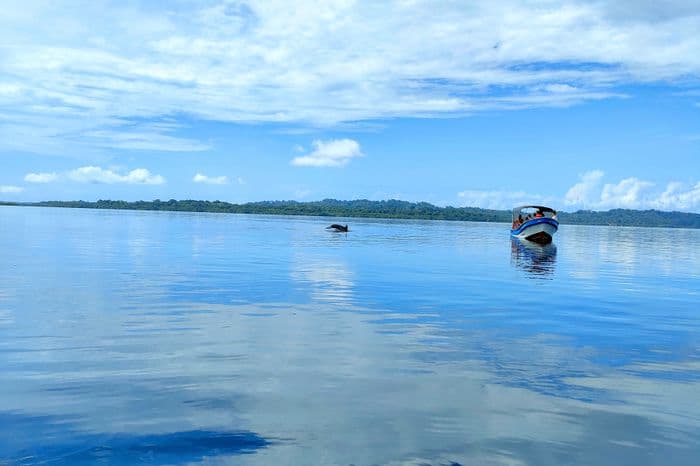 Bocas del Toro