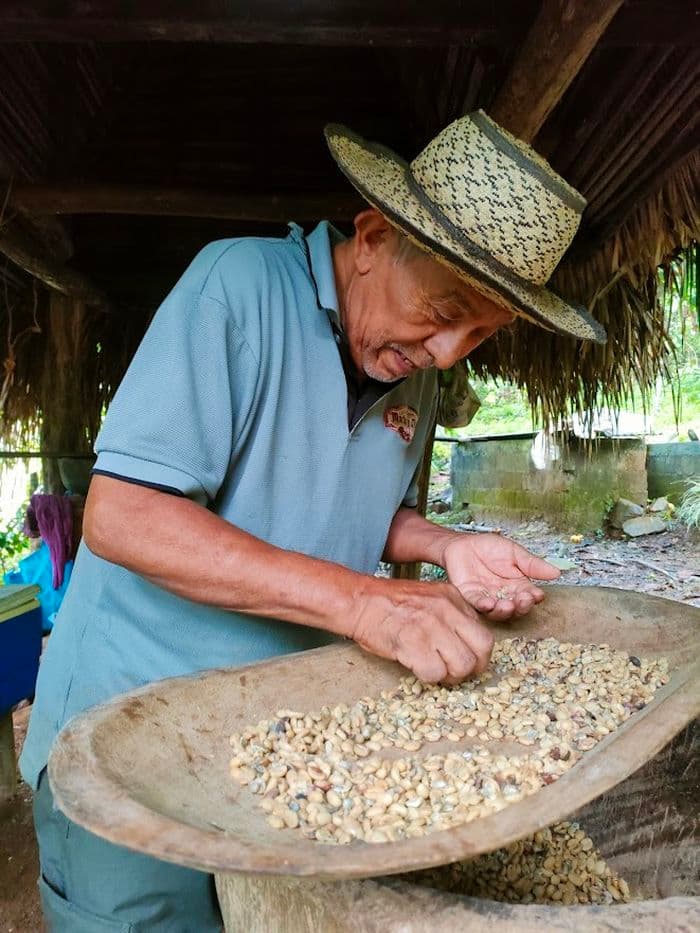 Finca de cafe Maria y Chon