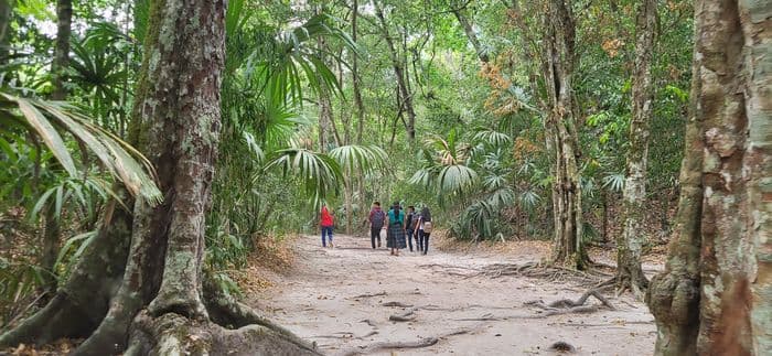 Tikal Flores Guatemala