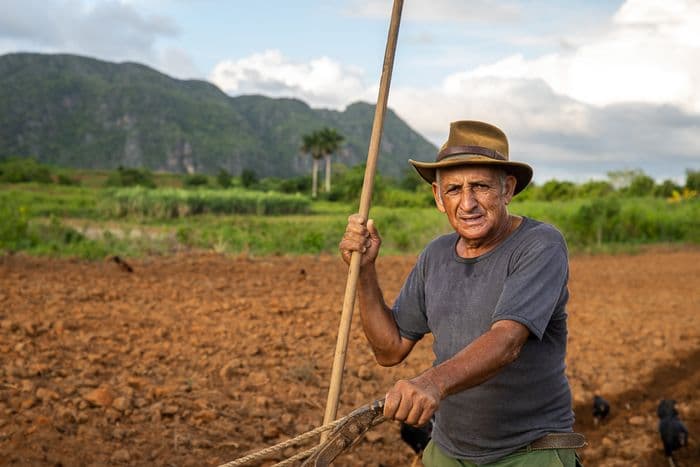 Cuba Vinales Puraventura