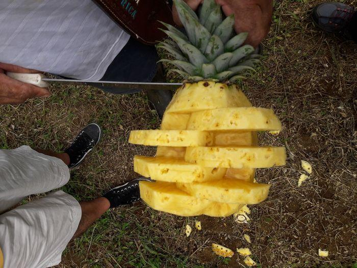 Le meilleure ananas du Costa R