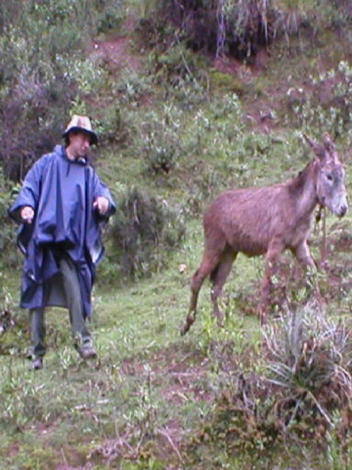 Hirt Ernesto versucht einen Esel  einzufangen