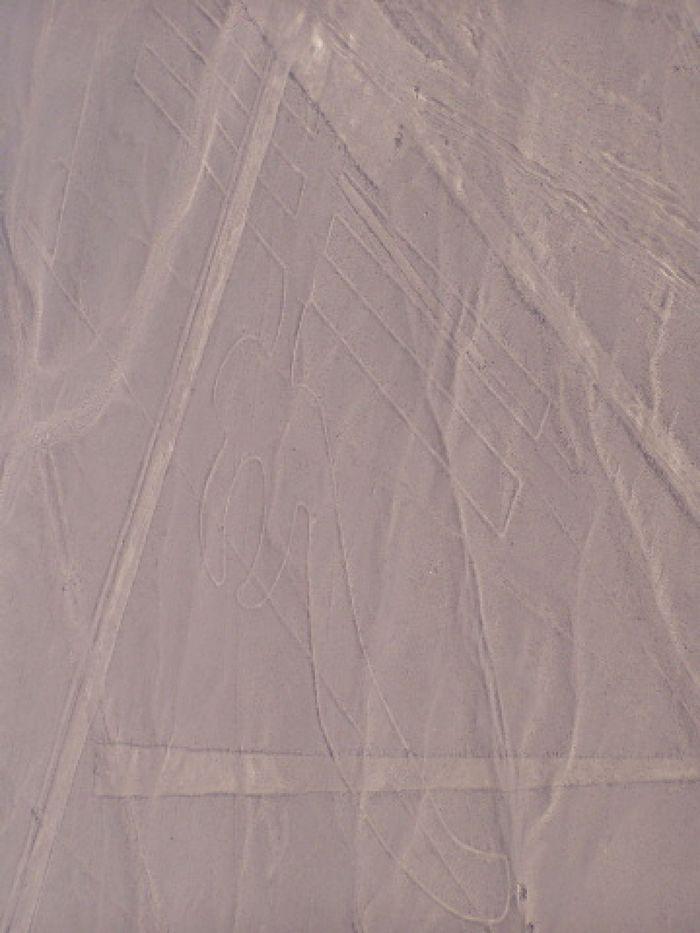 Nazca-Linien