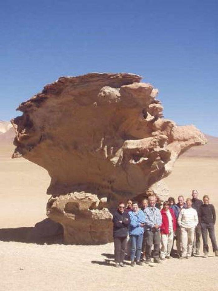 Die Gruppe neben dem steinernen Baum