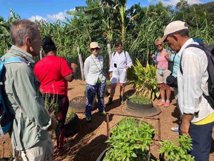 Soplillar Finca La Pista bei " La Negra "